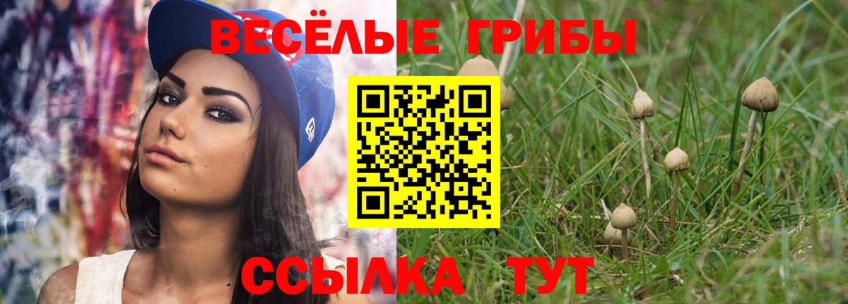 Псилоцибиновые грибы Psilocybe  Псилоцибиновые грибы Psilocybine cubensis  Вход с VPN  Дивногорск 