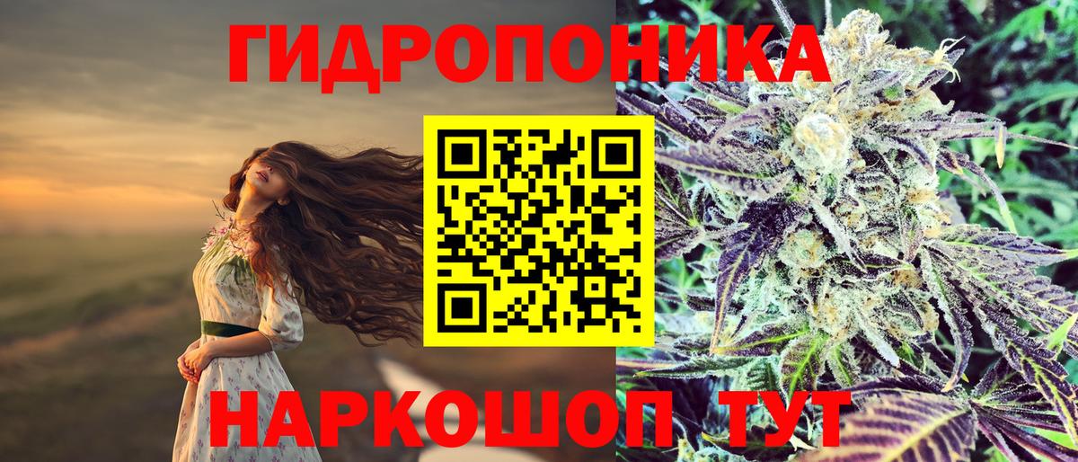 Бошки Шишки конопля Дивногорск
