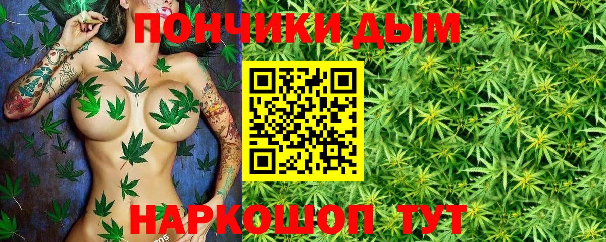 Конопля конопля  Шишки марихуана тримм  Дивногорск  Вход с VPN  Бошки Шишки тримм 